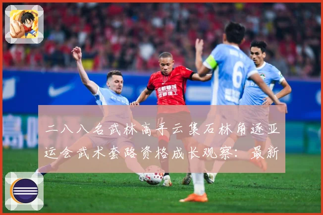 二八八名武林高手云集石林角逐亚运会武术套路资格成长观察：最新赛事动态与深度分析
