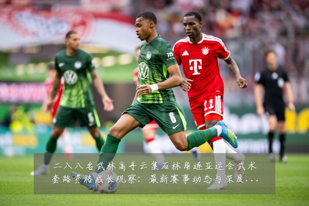 二八八名武林高手云集石林角逐亚运会武术套路资格成长观察:最新赛事动态与深度分析